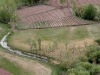 99zhimg_0801